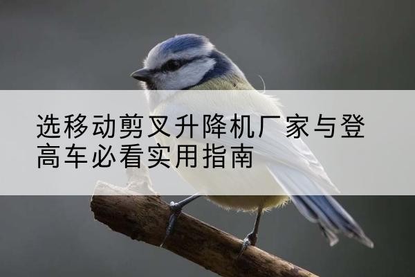 竞秀电动升降机厂家-选移动剪叉升降机厂家与登高车必看实用指南