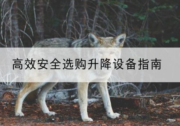 竞秀升降货梯厂家推荐-*安全选购升降设备指南