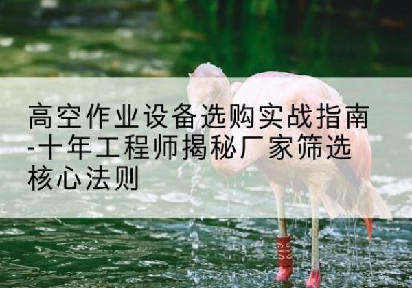 竞秀剪叉式升降机厂家-高空作业设备选购实战指南-十年工程师揭秘厂家筛选核心法则