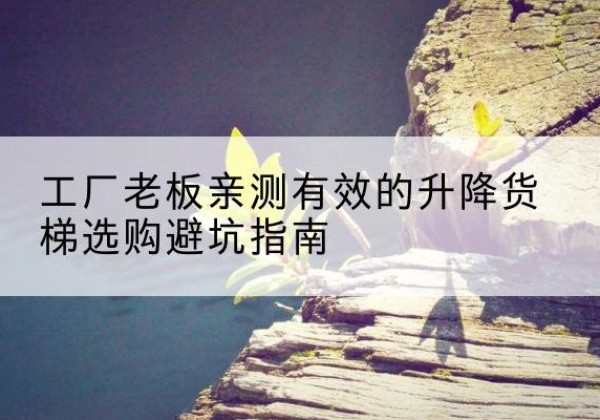 竞秀升降货梯怎么选-工厂老板亲测有效的升降货梯选购避坑指南